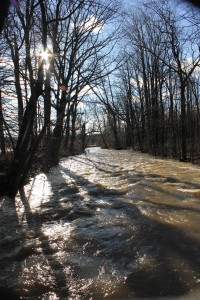 bushkill creek