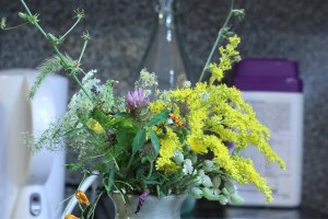 IMG_0466 (Large)